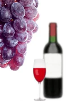 A concept the vine making Foto stock