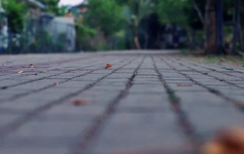 Concept walking track for regular exercises and a healthy lifestyle Stock Photos