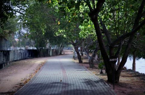 Concept walking track for regular exercises and a healthy lifestyle Stock Photos