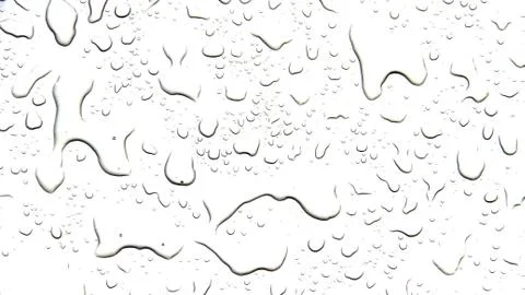 The concept of water drops on a white background Stock Photos