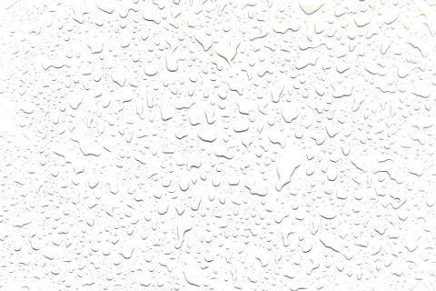 The concept of water drops on a white background 스톡 사진
