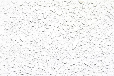 The concept of water drops on a white background 스톡 사진