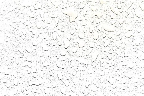 The concept of water drops on a white background Stock Photos