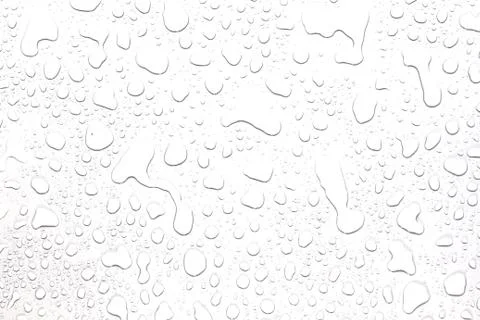 The concept of water drops on a white background Stock Photos