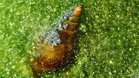 Concept of water pollution Stock Footage 122376341