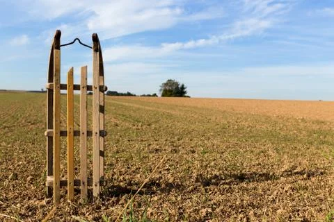 Concept where is the snow 库存照片