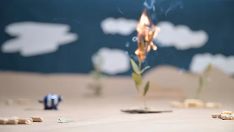 Concept of wildfire arson in in a  valley with animals  danger of drought Video stock 127858633