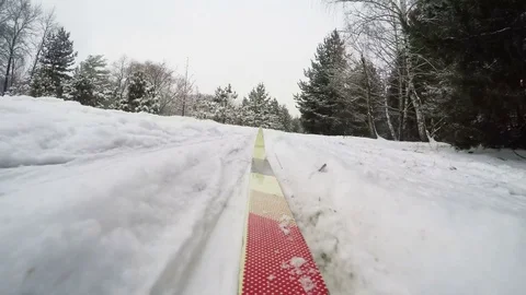Concept winter Christmas forest. Cross country skiing on snowy winter day. View Stock Footage 83286115