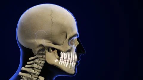 Concept of wisdom teeth pain Illustration
