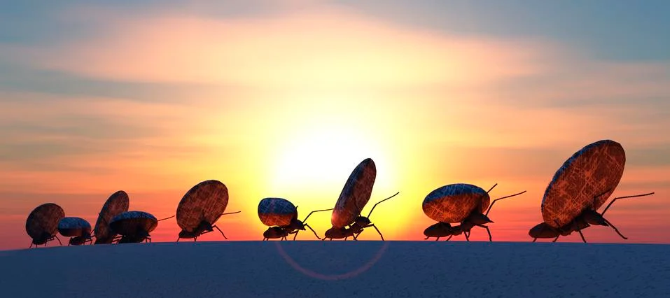 Concept work, team of ants Stock Illustration