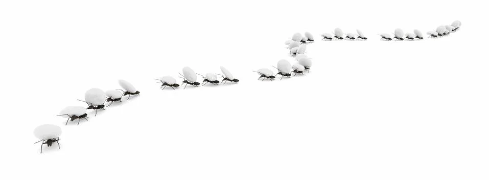 Concept work, team of ants Stock Illustration