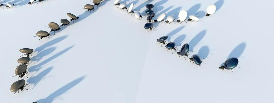 Concept work, team of ants Stock Illustration