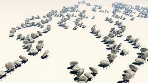 Concept work, team of ants Stock Illustration