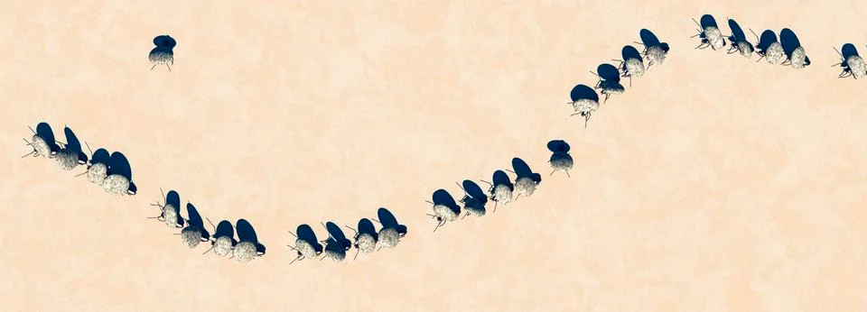 Concept work, team of ants Stock Illustration