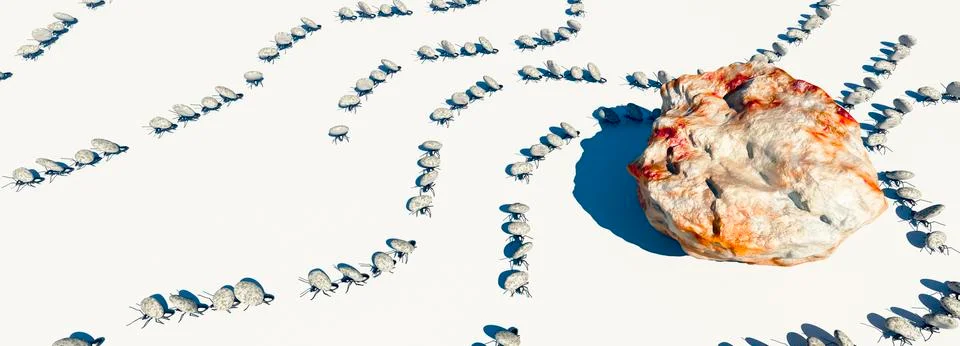 Concept work, team of ants Stock Illustration
