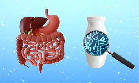 Concept - Yoghurt with probiotic content Stock Illustration