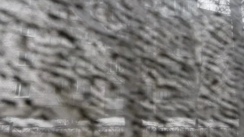Concept Zebra striped background, monotone function, autumn in city. Video stock 89837860