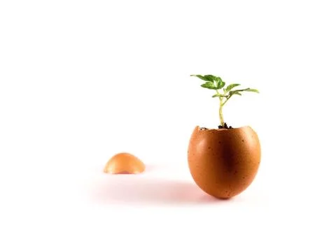 Conception of beginning of life Stock-Fotos