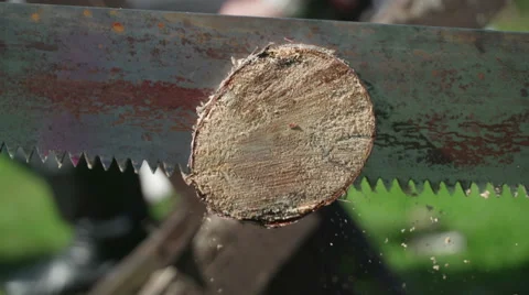 Concepts and ideas. Team building business partners. Sawing log two-handed saw. Stock Footage 69011668