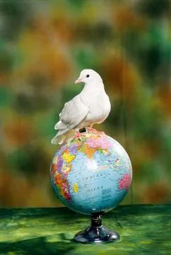 Concepts pigeon sitting on globe 스톡 사진