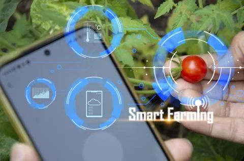 Concepts of using AI and smart farming, increasing productivity and control.. Foto stock