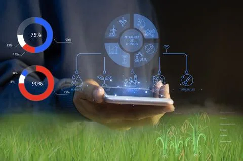 Concepts of using AI and smart farming, increasing productivity and control.. Stock Photos
