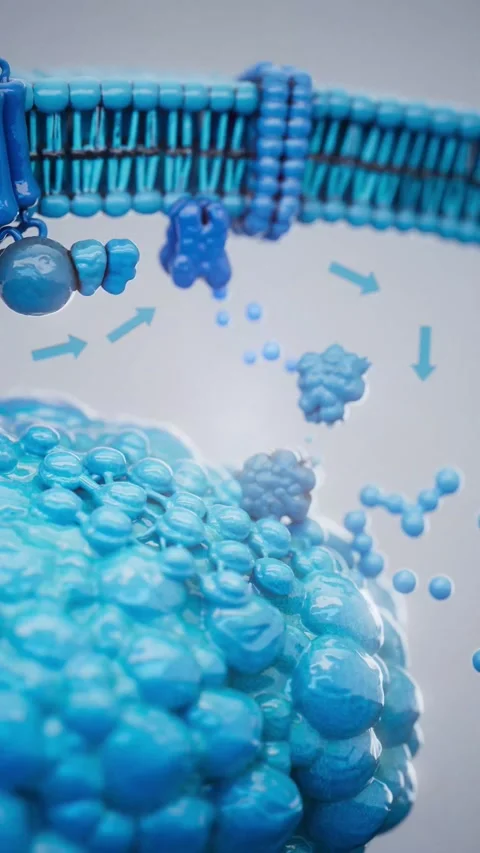Conceptual 3D animation of adrenaline triggering lipolysis inside a fat cell Stock Footage 341278101