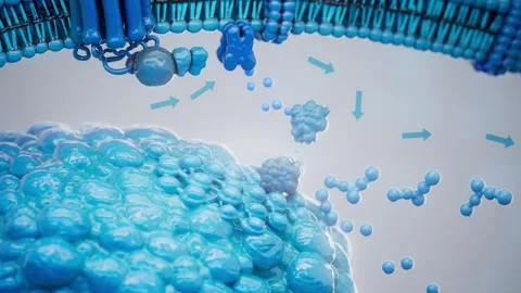 Conceptual 3D animation of adrenaline triggering lipolysis inside a fat cell Stock Footage 341278122