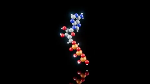 Conceptual 3D animation of an ATP molecule Stock Footage 331769114
