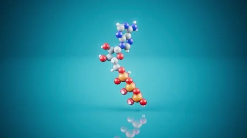 Conceptual 3D animation of an ATP molecule Stock Footage 331769186