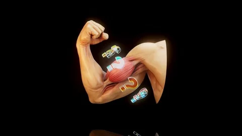 Conceptual 3D animation of contracting biceps with question marks motion desi Stock Footage 333557633