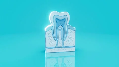 Conceptual 3D animation of a human tooth anatomy Stock Footage 317980052
