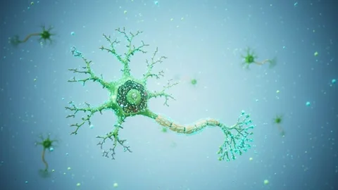 Conceptual 3D animation of a neuron with floating molecules Stock Footage 335119964
