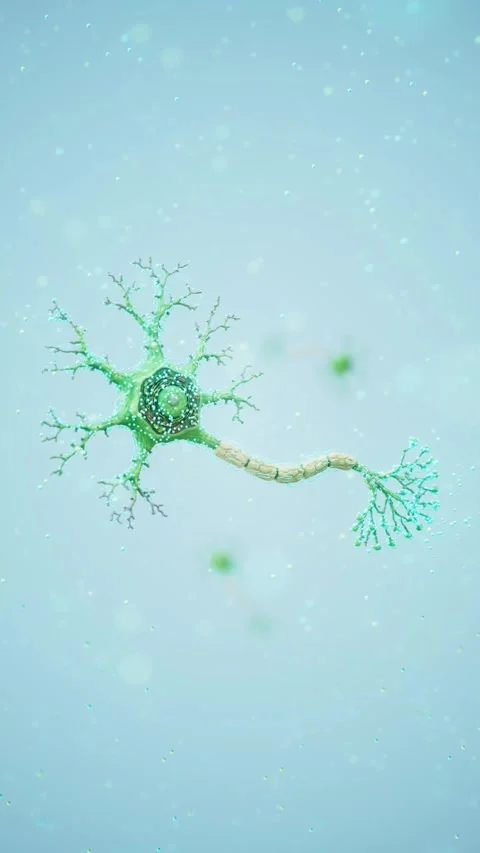 Conceptual 3D animation of a neuron with floating molecules Stock Footage 335679115