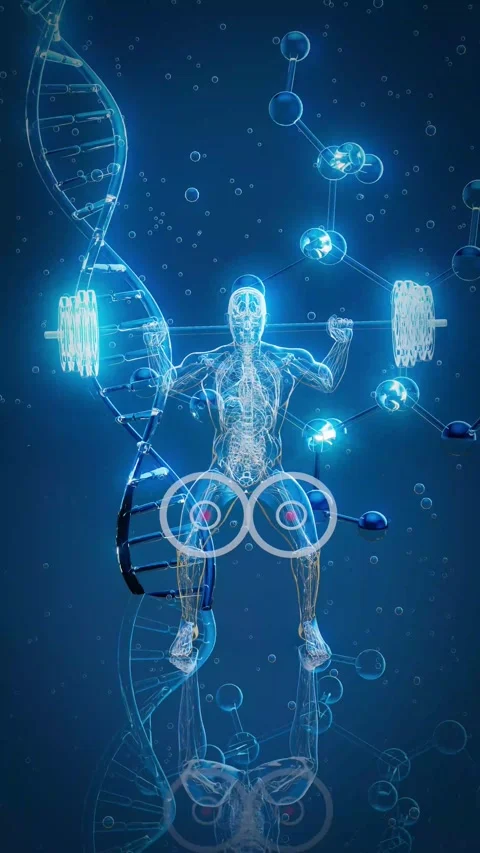 Conceptual 3D animation of an x-ray man performing a squat Stock Footage 340082888