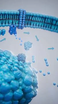 Conceptual 3D illustration of adrenaline triggering lipolysis inside a fat ce Stock Illustration