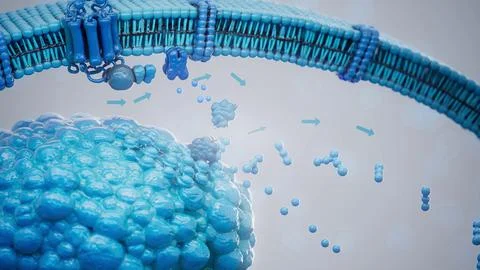 Conceptual 3D illustration of adrenaline triggering lipolysis inside a fat ce Stock Illustration