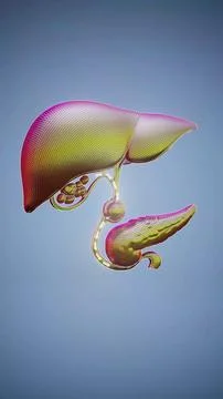 Conceptual 3D illustration of a gallbladder stone Stock Illustration