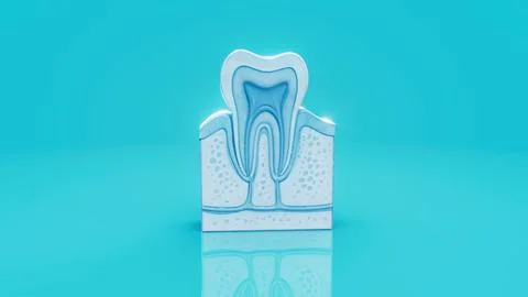 Conceptual 3D illustration of a human tooth anatomy Stock Illustration