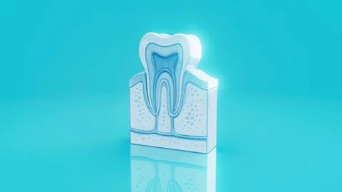 Conceptual 3D illustration of a human tooth anatomy Stock Illustration