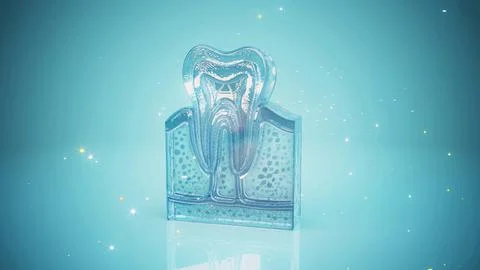 Conceptual 3D illustration of a human tooth anatomy Stock Illustration