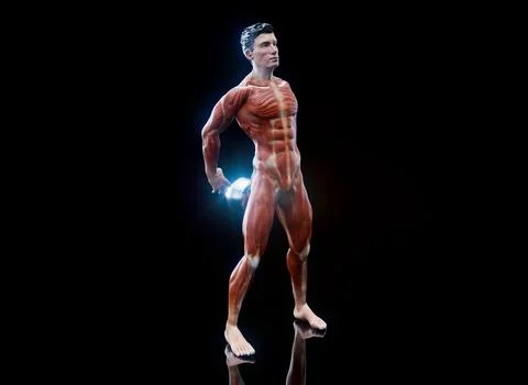 Conceptual 3D illustration of a man training with a kettlebell Stock Illustration
