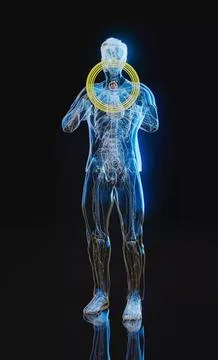 Conceptual 3D illustration of an x-ray man with visible thyroid gland in vert Stock Illustration