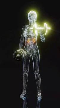 Conceptual 3D illustration of an x-ray woman lifting weights with visible kid Stock Illustration