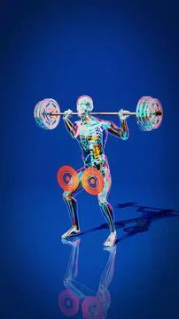 Conceptual 3D illustration of an x-ray man performing a squat Stock Illustration