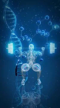 Conceptual 3D illustration of an x-ray man performing a squat Stock Illustration