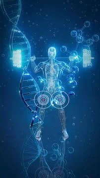 Conceptual 3D illustration of an x-ray man performing a squat Stock Illustration