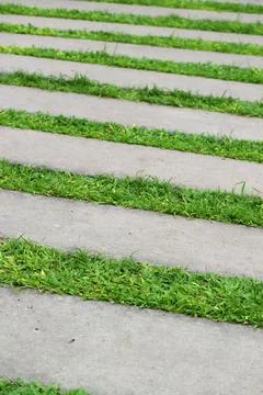 Conceptual abstract of grass pavers path representing an endless green journey Stock Photos