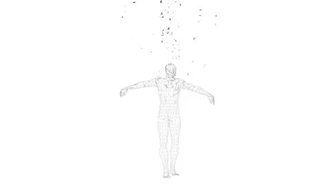 Conceptual abstract man. Connected lines, dots, triangles, particles on white Stock Illustration