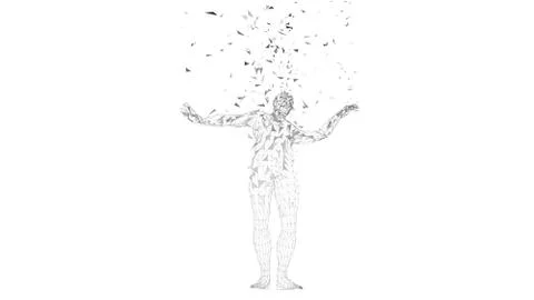 Conceptual abstract man. Connected lines, dots, triangles, particles on white Stock Illustration